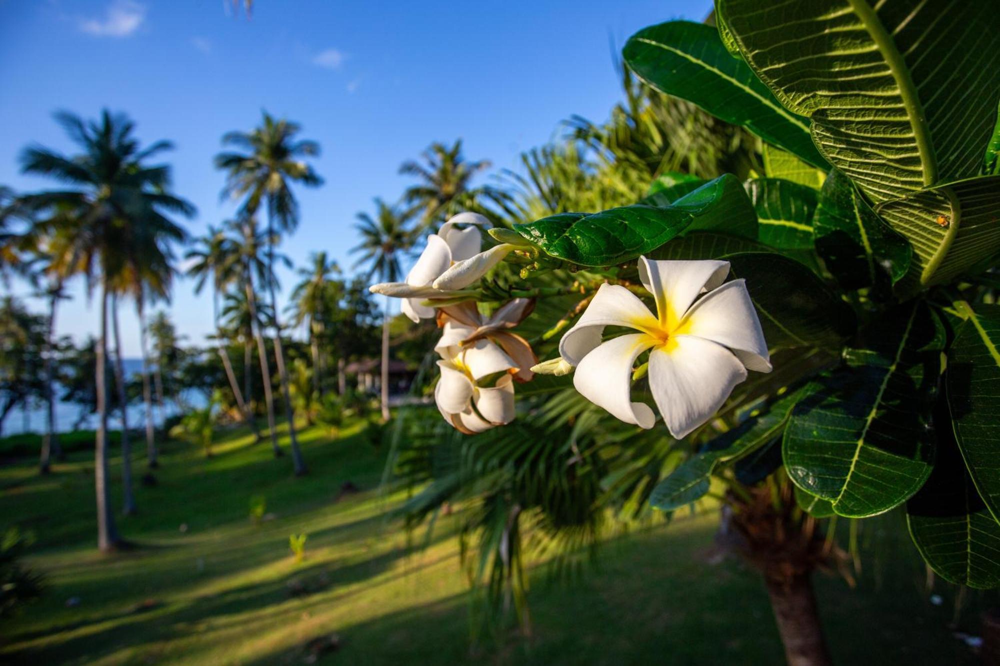 Ban Raya Resort And Spa Ko Racha Yai Exteriér fotografie