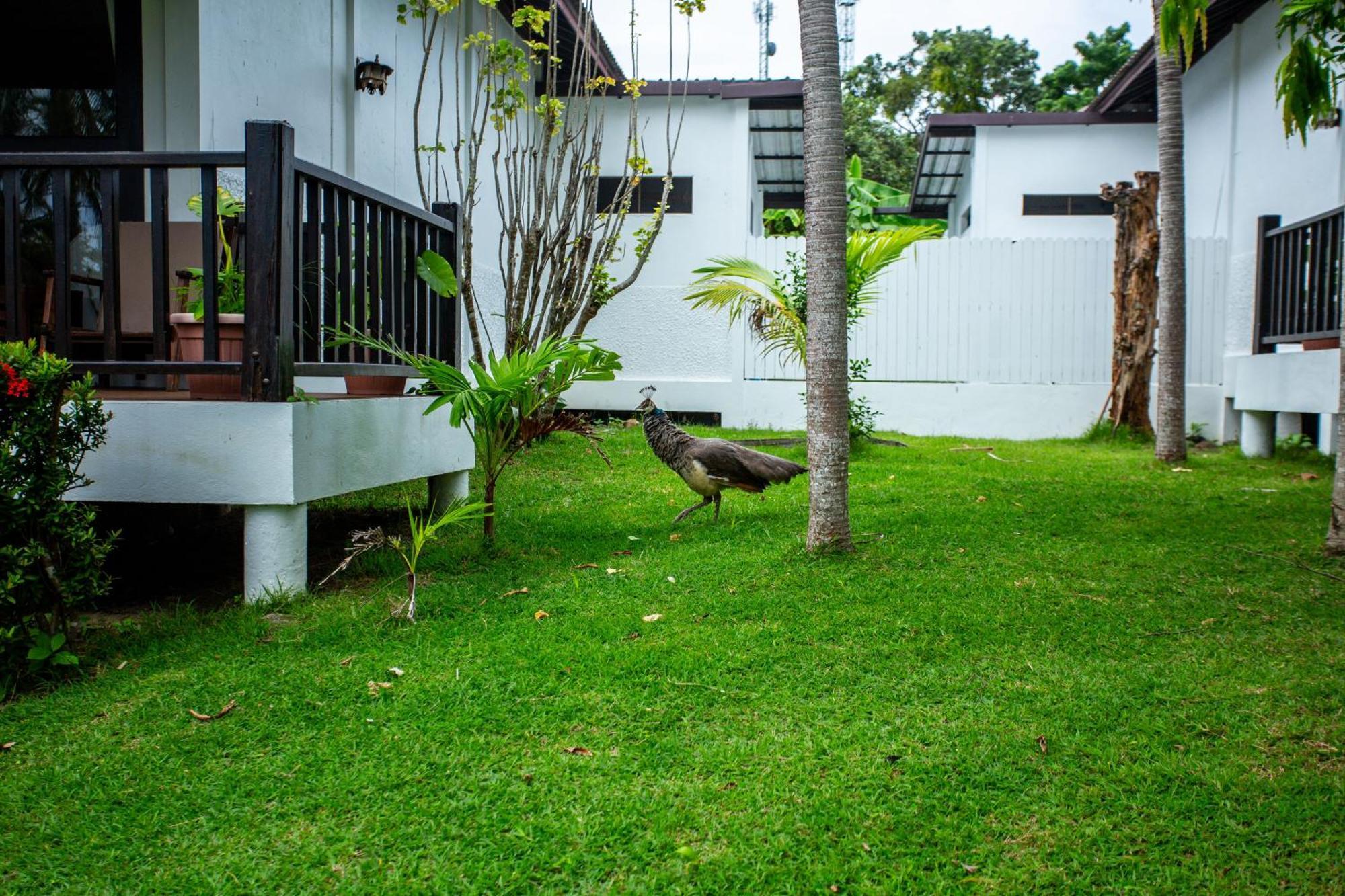 Ban Raya Resort And Spa Ko Racha Yai Exteriér fotografie