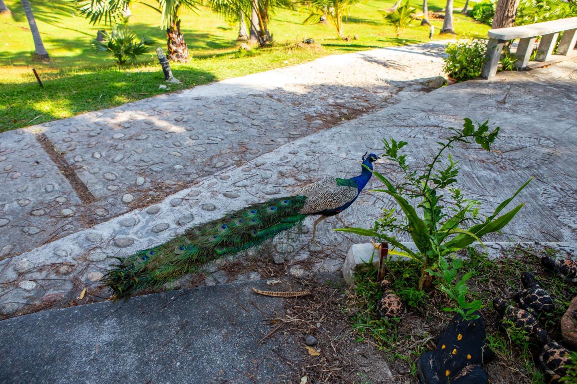 Ban Raya Resort And Spa Ko Racha Yai Exteriér fotografie